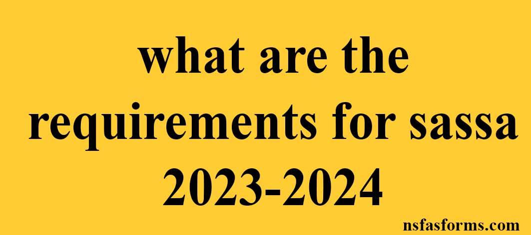 What Are The Requirements For Sassa 2023 2024   What Are The Requirements For Sassa 2023 2024 