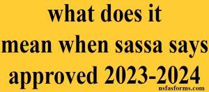 what does it mean when sassa says approved 2023-2024