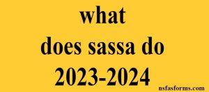 what does sassa do 2023-2024