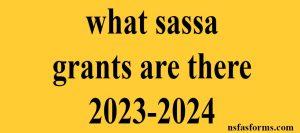 what sassa grants are there 2023-2024