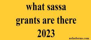 what sassa grants are there 2023