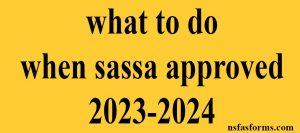 what to do when sassa approved 2023-2024