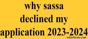 why sassa declined my application 2023-2024