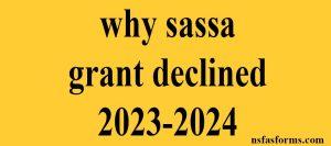 why sassa grant declined 2023-2024