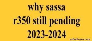 why sassa r350 still pending 2023-2024