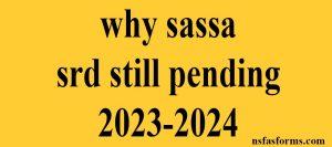 why sassa srd still pending 2023-2024