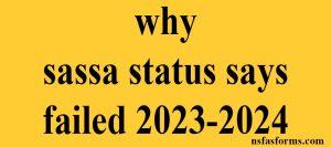 why sassa status says failed 2023-2024