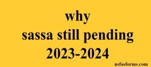 why sassa still pending 2023-2024