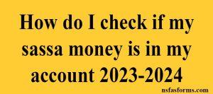 How do I check if my sassa money is in my account 2023-2024