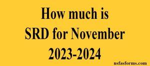 How much is SRD for November 2023-2024