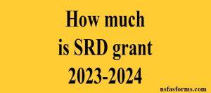 How much is SRD grant 2023-2024