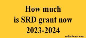 How much is SRD grant now 2023-2024
