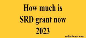 How much is SRD grant now 2023