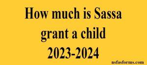 How much is Sassa grant a child 2023-2024