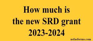 How much is the new SRD grant 2023-2024