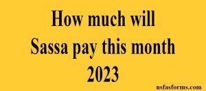 How much will Sassa pay this month 2023