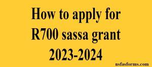 How to apply for R700 sassa grant 2023-2024