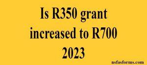 Is R350 grant increased to R700 2023