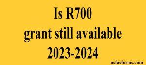 Is R700 grant still available 2023-2024