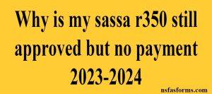 Why is my sassa r350 still approved but no payment 2023-2024