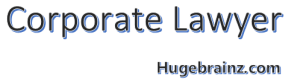 Corporate Lawyer
