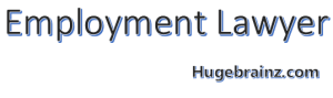 Employment Lawyer